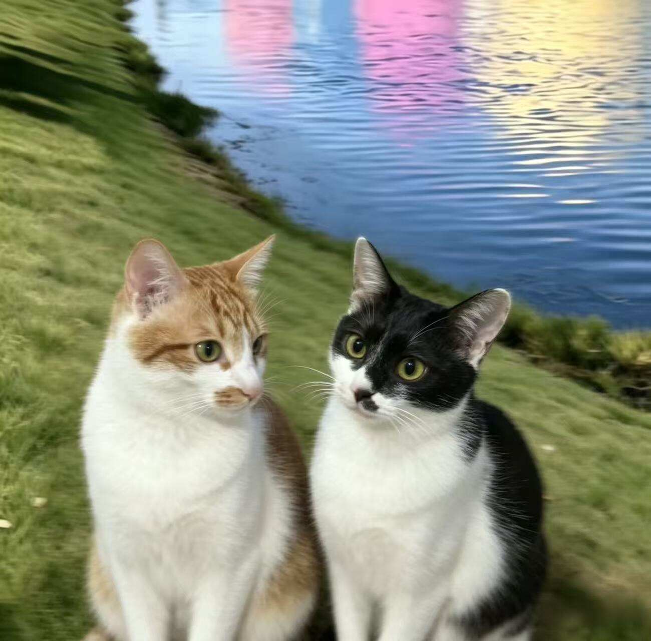 头像